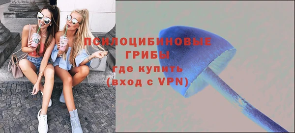 кокс Михайлов