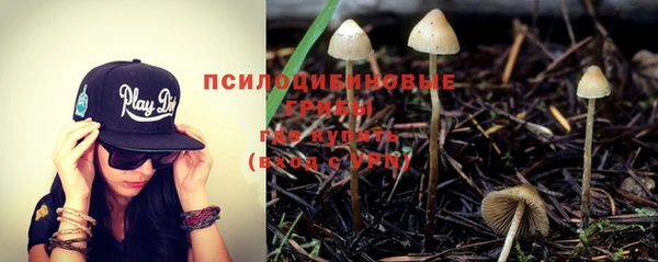 прущий лед Алексеевка